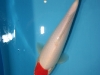 Tancho Kohaku Nr. 10